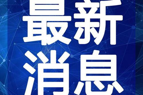 乐山酒店爆料事件视频最新,真相揭露，网友热议